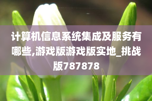 计算机信息系统集成及服务有哪些,游戏版游戏版实地_挑战版787878