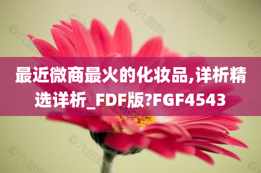 最近微商最火的化妆品,详析精选详析_FDF版?FGF4543