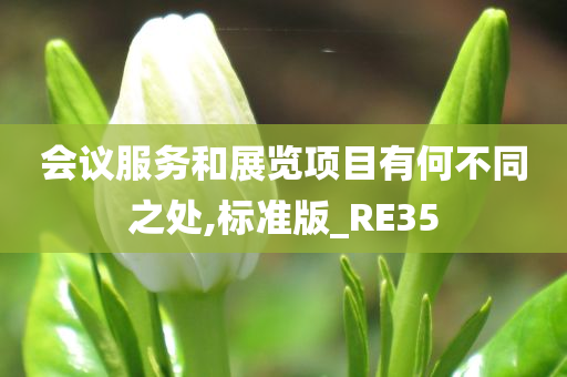 会议服务和展览项目有何不同之处,标准版_RE35