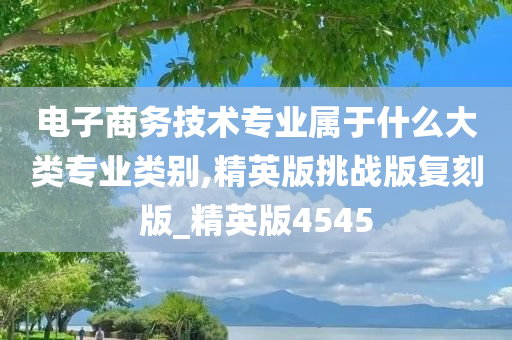 电子商务技术专业属于什么大类专业类别,精英版挑战版复刻版_精英版4545