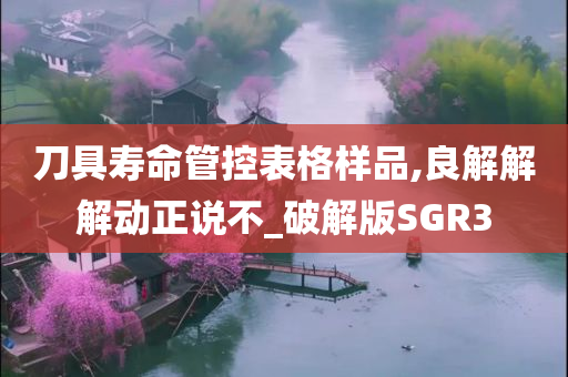 刀具寿命管控表格样品,良解解解动正说不_破解版SGR3