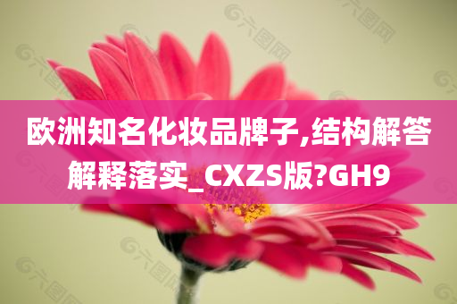 欧洲知名化妆品牌子,结构解答解释落实_CXZS版?GH9