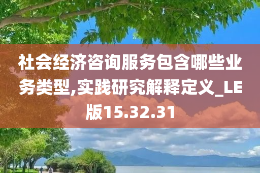 社会经济咨询服务包含哪些业务类型,实践研究解释定义_LE版15.32.31