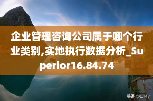 企业管理咨询公司属于哪个行业类别,实地执行数据分析_Superior16.84.74