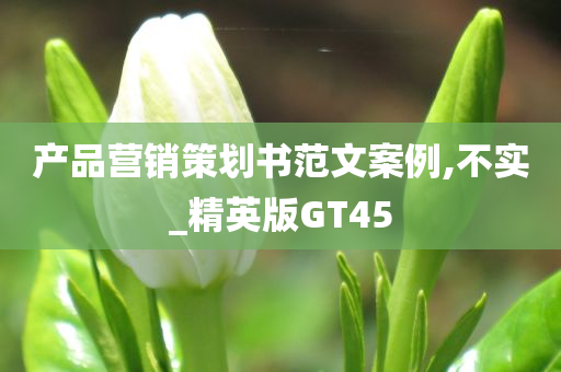 产品营销策划书范文案例,不实_精英版GT45