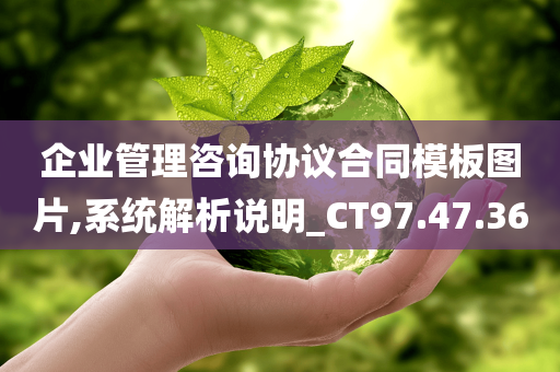 企业管理咨询协议合同模板图片,系统解析说明_CT97.47.36