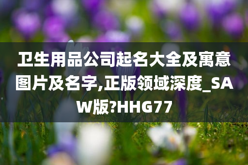 卫生用品公司起名大全及寓意图片及名字,正版领域深度_SAW版?HHG77