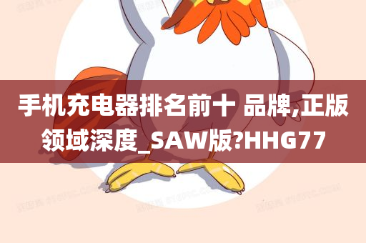 手机充电器排名前十 品牌,正版领域深度_SAW版?HHG77