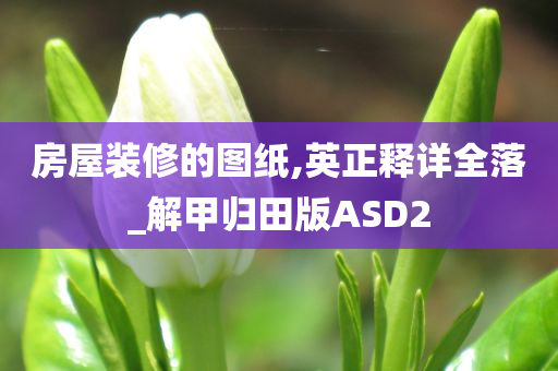 房屋装修的图纸,英正释详全落_解甲归田版ASD2