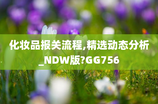 化妆品报关流程,精选动态分析_NDW版?GG756