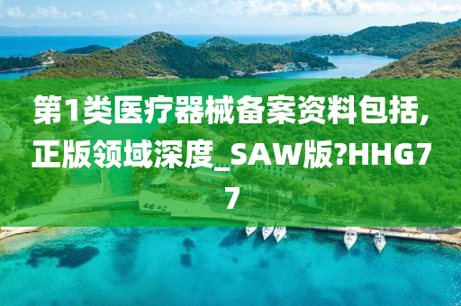 第1类医疗器械备案资料包括,正版领域深度_SAW版?HHG77