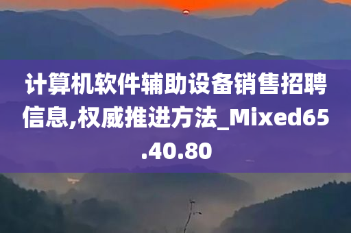 计算机软件辅助设备销售招聘信息,权威推进方法_Mixed65.40.80