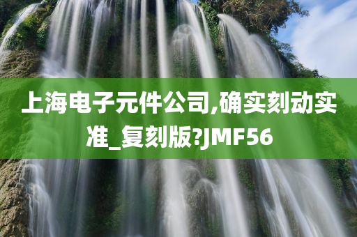 上海电子元件公司,确实刻动实准_复刻版?JMF56