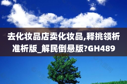 去化妆品店卖化妆品,释挑领析准析版_解民倒悬版?GH489