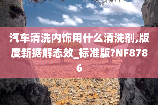 汽车清洗内饰用什么清洗剂,版度新据解态效_标准版?NF8786