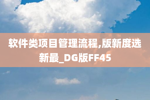 软件类项目管理流程,版新度选新最_DG版FF45