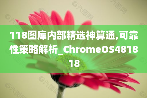 118图库内部精选神算通,可靠性策略解析_ChromeOS481818