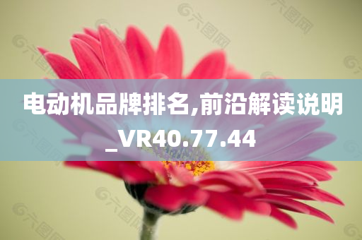 电动机品牌排名,前沿解读说明_VR40.77.44