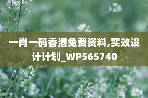 一肖一码香港免费资料,实效设计计划_WP565740