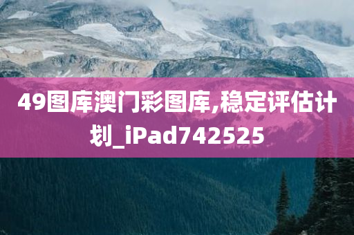 49图库澳门彩图库,稳定评估计划_iPad742525