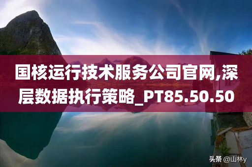 国核运行技术服务公司官网,深层数据执行策略_PT85.50.50