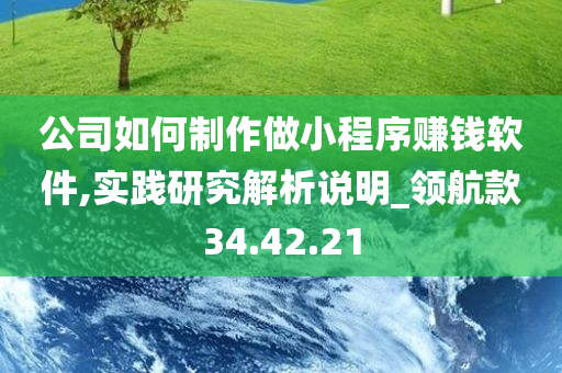 公司如何制作做小程序赚钱软件,实践研究解析说明_领航款34.42.21