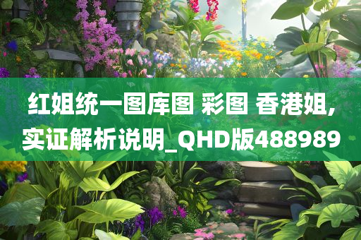 红姐统一图库图 彩图 香港姐,实证解析说明_QHD版488989