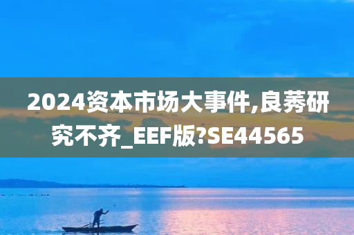 2024资本市场大事件,良莠研究不齐_EEF版?SE44565