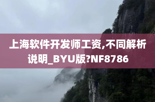 上海软件开发师工资,不同解析说明_BYU版?NF8786