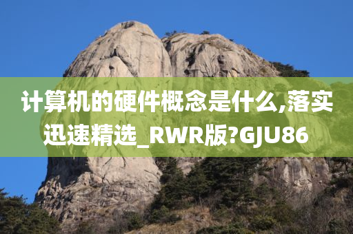 计算机的硬件概念是什么,落实迅速精选_RWR版?GJU86