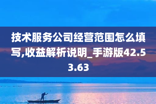 技术服务公司经营范围怎么填写,收益解析说明_手游版42.53.63