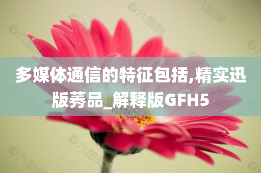 多媒体通信的特征包括,精实迅版莠品_解释版GFH5