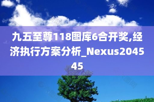 九五至尊118图库6合开奖,经济执行方案分析_Nexus204545