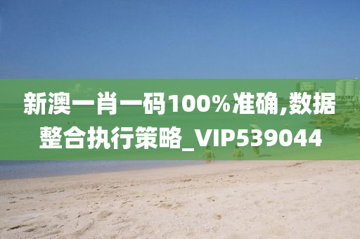 新澳一肖一码100%准确,数据整合执行策略_VIP539044