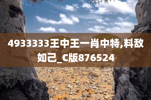 4933333王中王一肖中特,料敌如己_C版876524