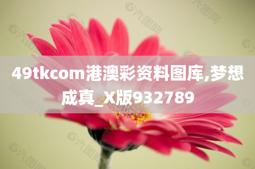 49tkcom港澳彩资料图库,梦想成真_X版932789