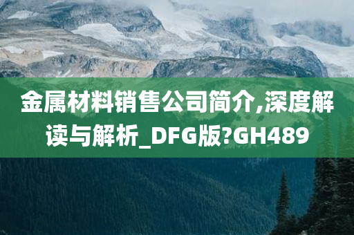 金属材料销售公司简介,深度解读与解析_DFG版?GH489