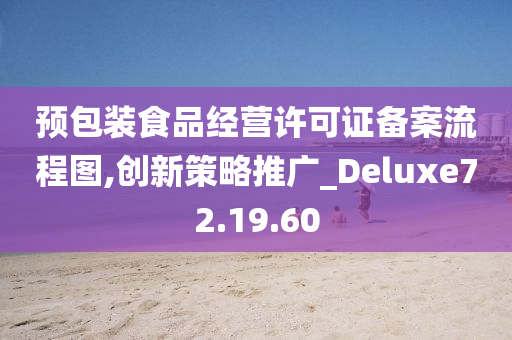 预包装食品经营许可证备案流程图,创新策略推广_Deluxe72.19.60