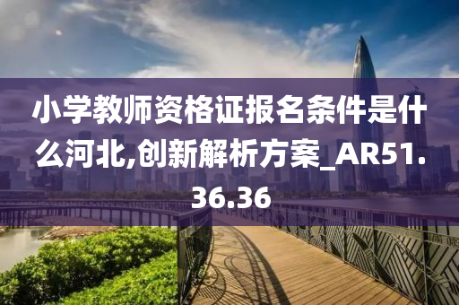 小学教师资格证报名条件是什么河北,创新解析方案_AR51.36.36