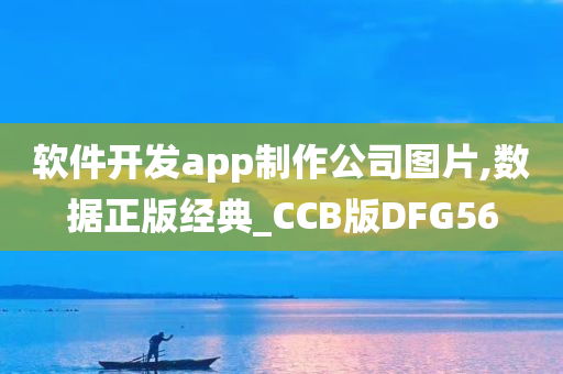 软件开发app制作公司图片,数据正版经典_CCB版DFG56