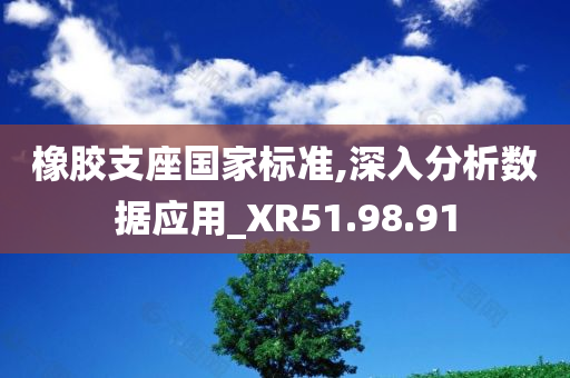 橡胶支座国家标准,深入分析数据应用_XR51.98.91