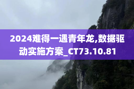 2024难得一遇青年龙,数据驱动实施方案_CT73.10.81