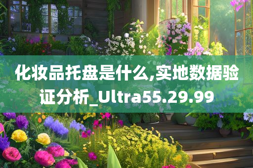 化妆品托盘是什么,实地数据验证分析_Ultra55.29.99