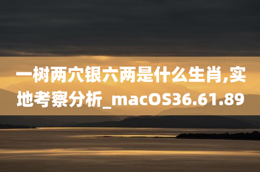 一树两穴银六两是什么生肖,实地考察分析_macOS36.61.89