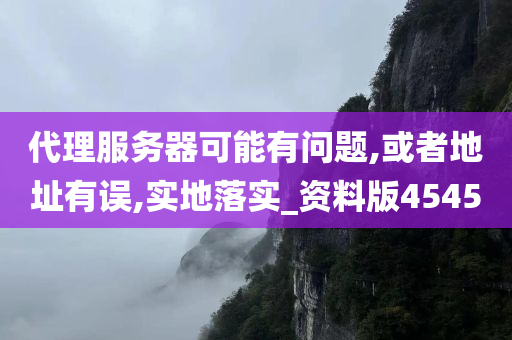 代理服务器可能有问题,或者地址有误,实地落实_资料版4545