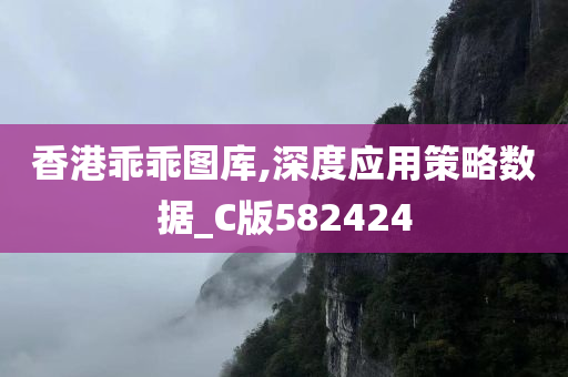 香港乖乖图库,深度应用策略数据_C版582424