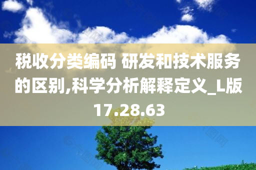 税收分类编码 研发和技术服务的区别,科学分析解释定义_L版17.28.63