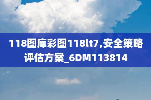 118图库彩图118lt7,安全策略评估方案_6DM113814