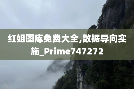 红姐图库免费大全,数据导向实施_Prime747272