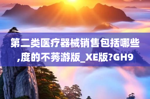 第二类医疗器械销售包括哪些,度的不莠游版_XE版?GH9